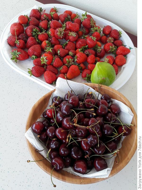 А это чтобы не скучно было созерцать на море