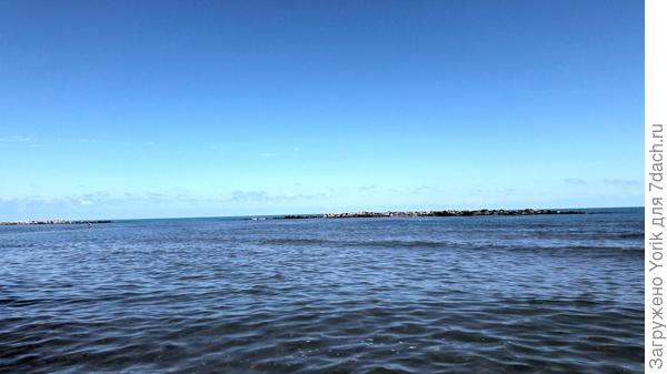 Вот оно родимое