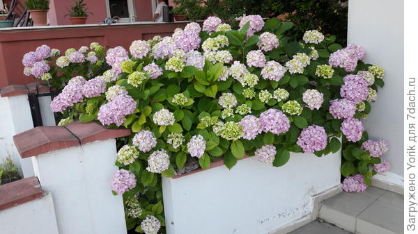 Кажется, что спрашивает: &amp;quot;Ну как, я наряднвя?&amp;quot;