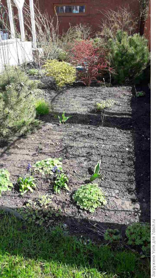 15 апреля 2017 года