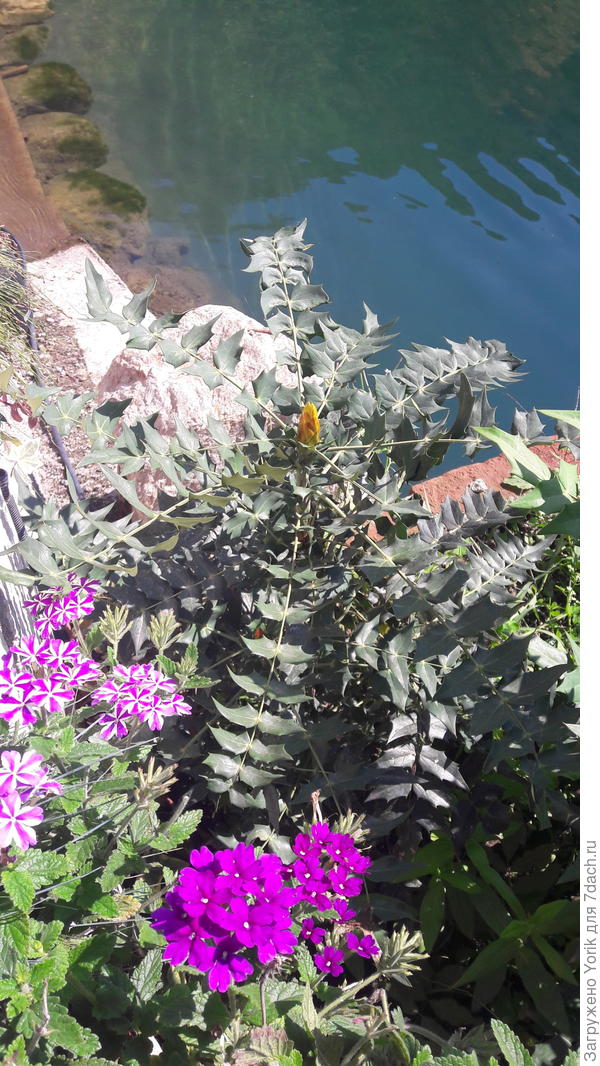 Как называется не знаю, но для вашего климата