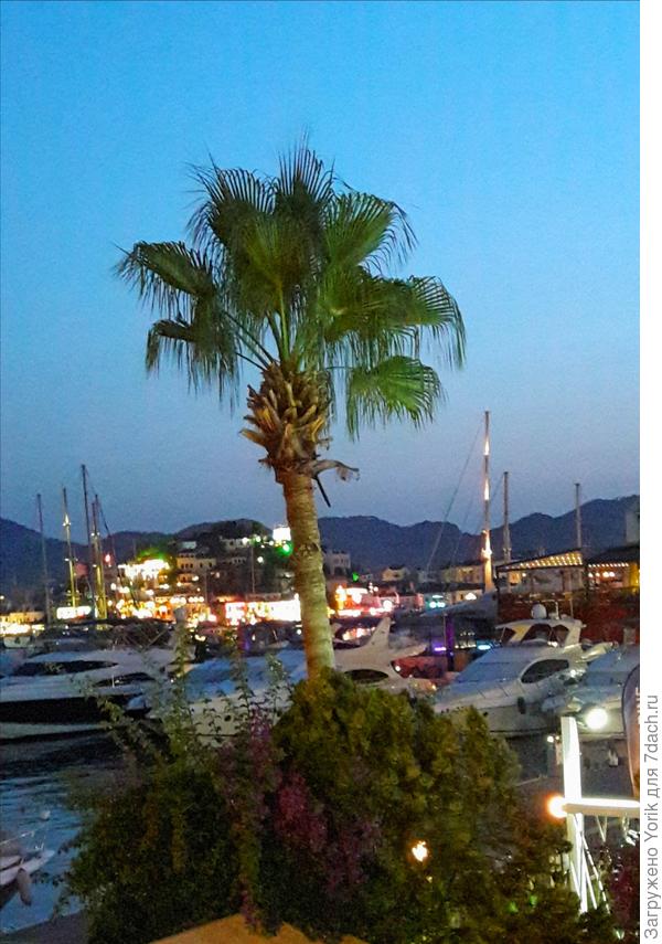 Тогде еще один, но ночной, пейзаж