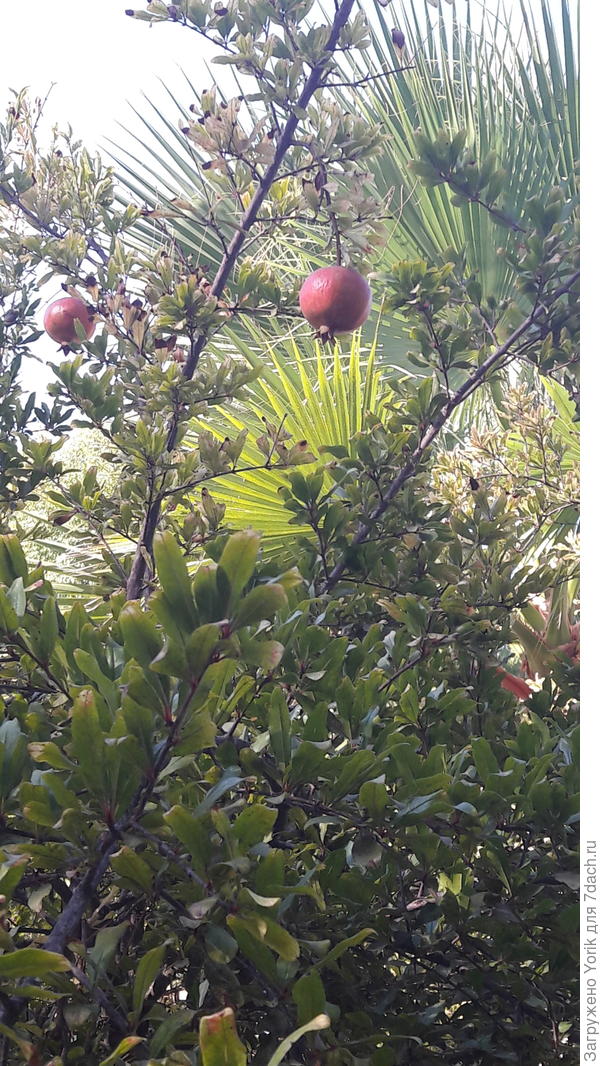 Над нашим столом