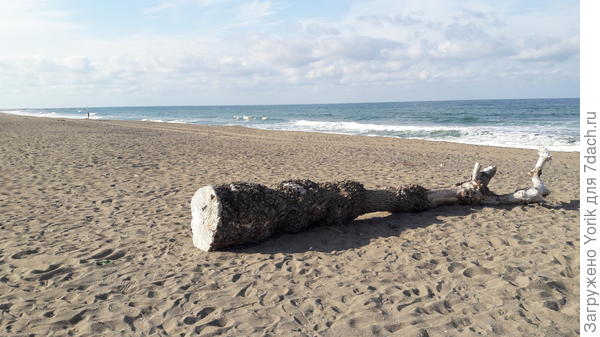 Попрощаться с соседом по пляжу