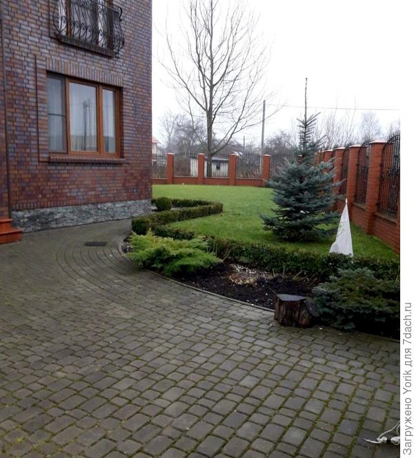 Середина ноября 2016