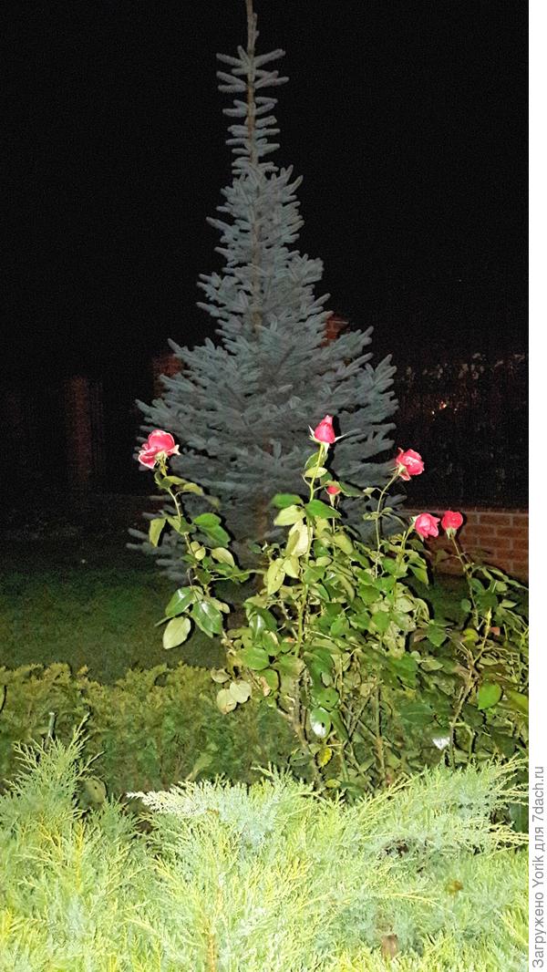 День плавно перешел в вечер