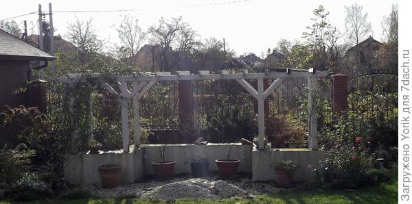 Вы про нее?  По ней запущена роза