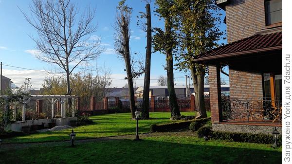 Такое сегодня было утро