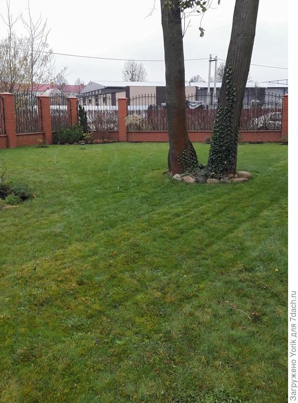 Надеюсь, что последний в этом коду покос газона