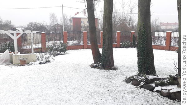 Успел сфотографировать