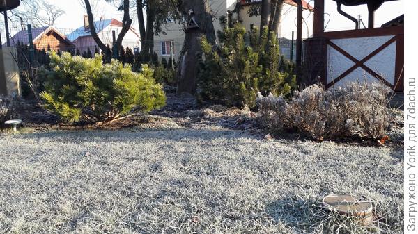 Ну вот и взошлт солнце. Скоро от "зимы" не останется и следа.