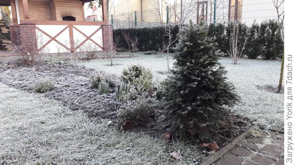 Небольшая вересковая клумба