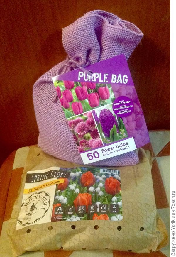 И не надо ломать голову, все за тебя уже решили какой цвет клумбы у тебя будет