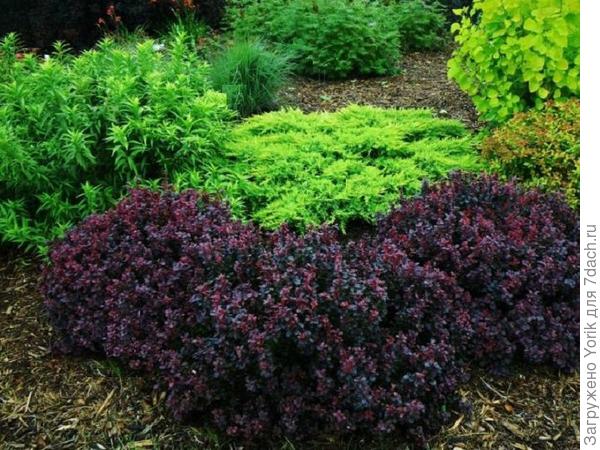 Фото из интернета