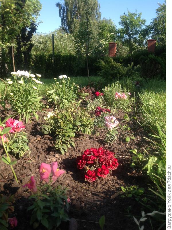 Совсем скоро, не долго ждать