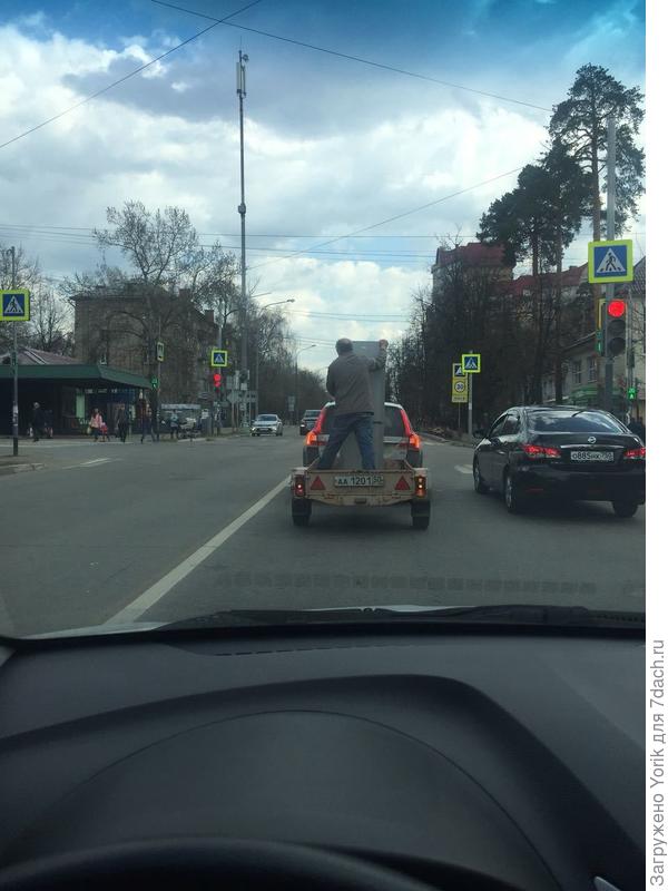 Потаскун пассивный.