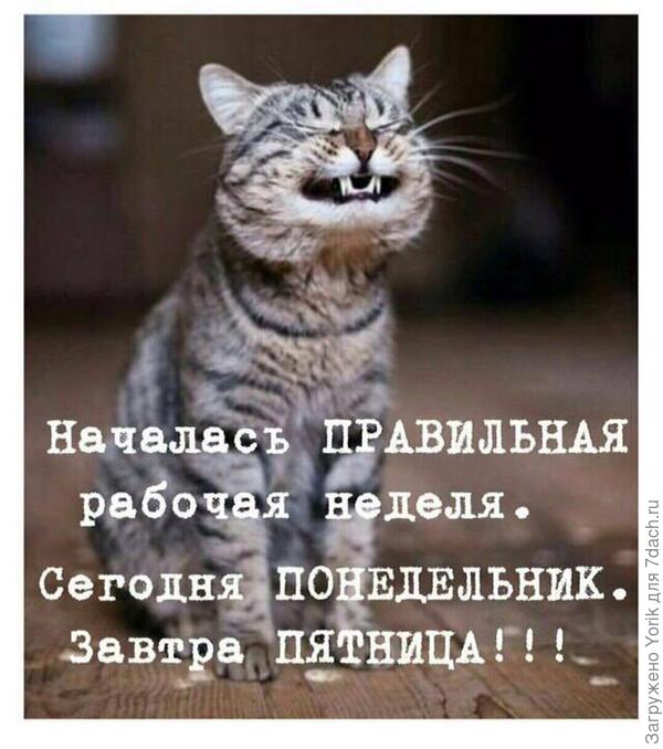Ну и напомню