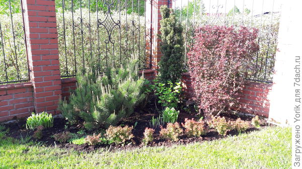 Ну и парадно-выгребной. В смысле, выгребся из дома, и вот он, весь такой