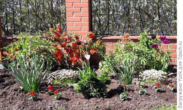 А это плод  вчерашней работы