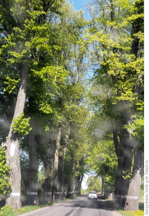 Вот &quot;проселочная&quot; дорога