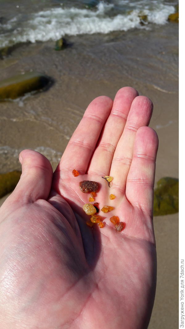 Несмотря на штиль море делится крупинками янтаря