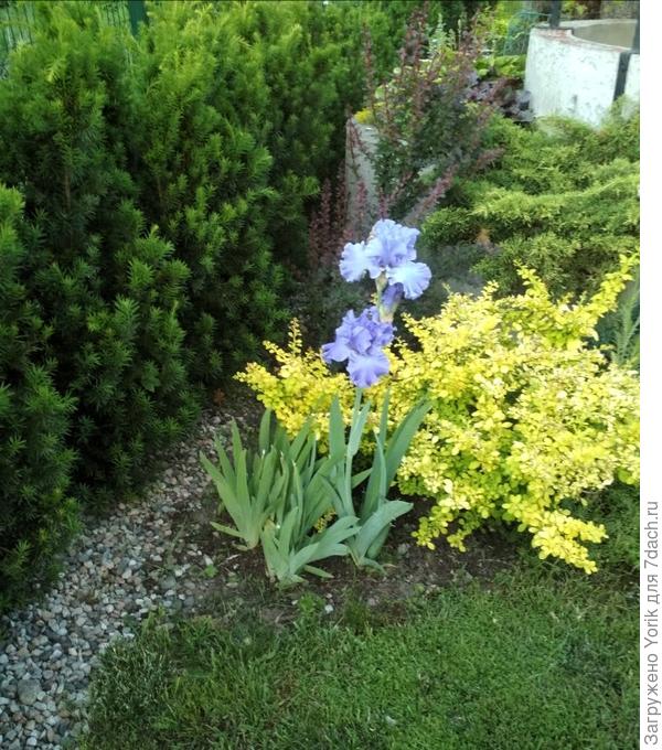 На ход ноги