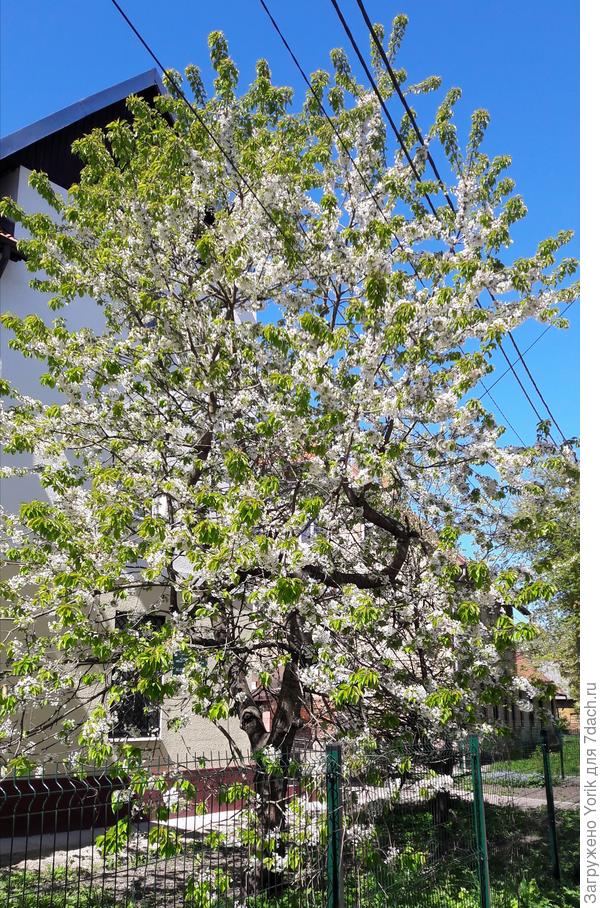 Фото от 4 мая