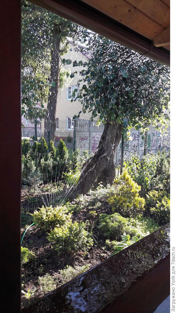 И вот завершающий аккорд, мелодии полива!