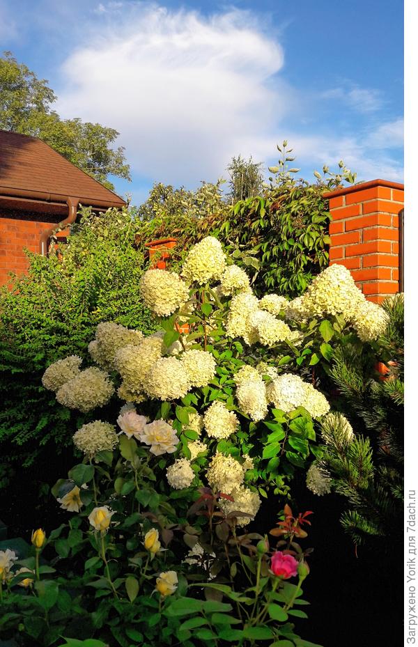 А эта красотка повзрослее