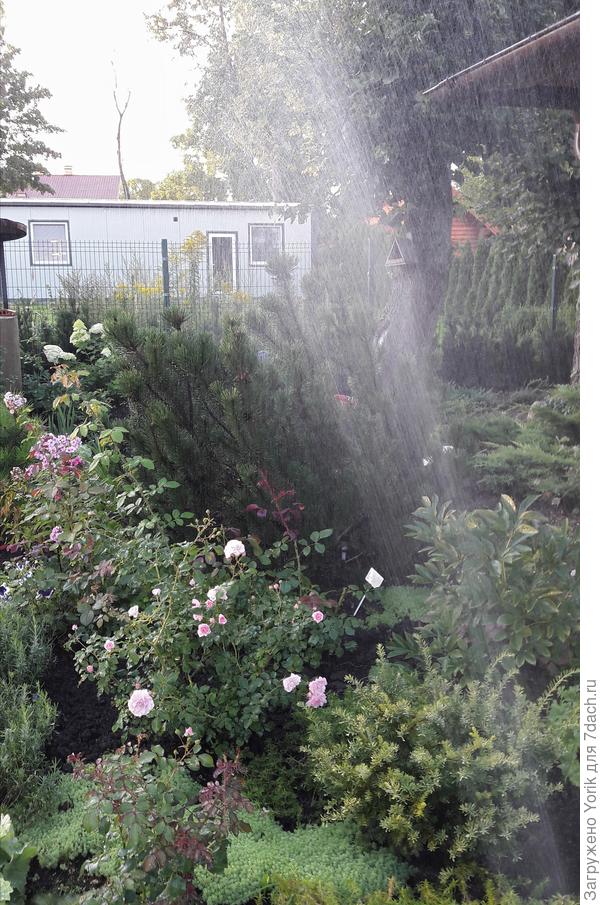 Вот такой дождь с 18 до 22