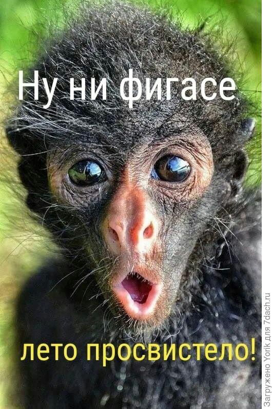 Но лето закончилось