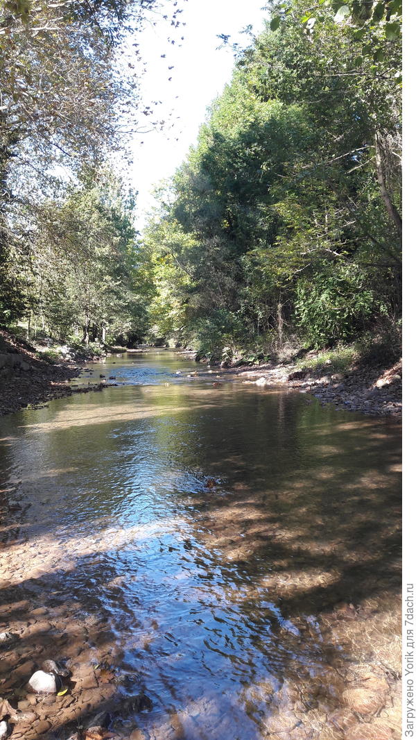 Знакомая уже речка