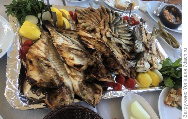 Рыбная тарелка