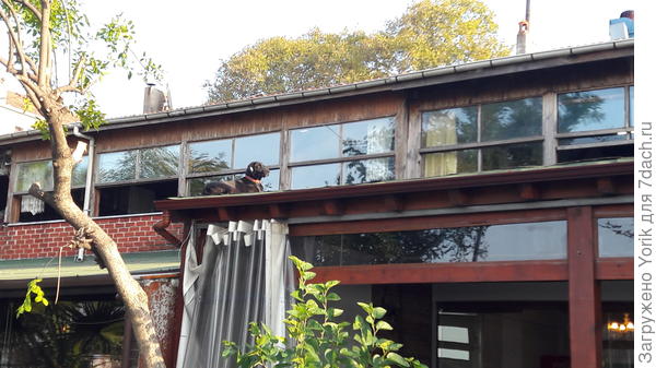 Да и у этого,  жизнь удалась