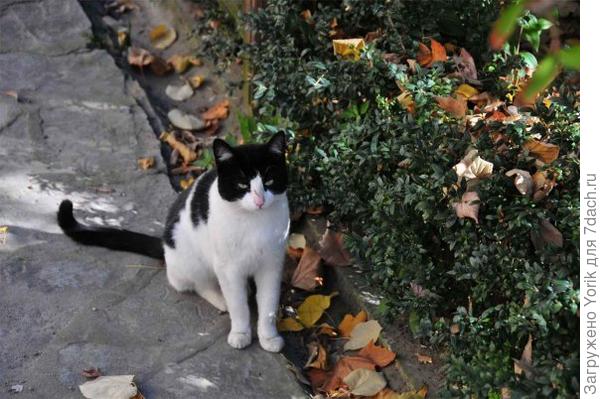 Сразу угостите, или мне напомнить о себе?