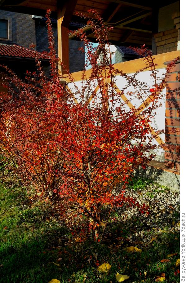 Сегодня на намного выглянуло солце