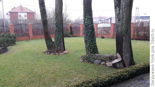 Нет у нас снега