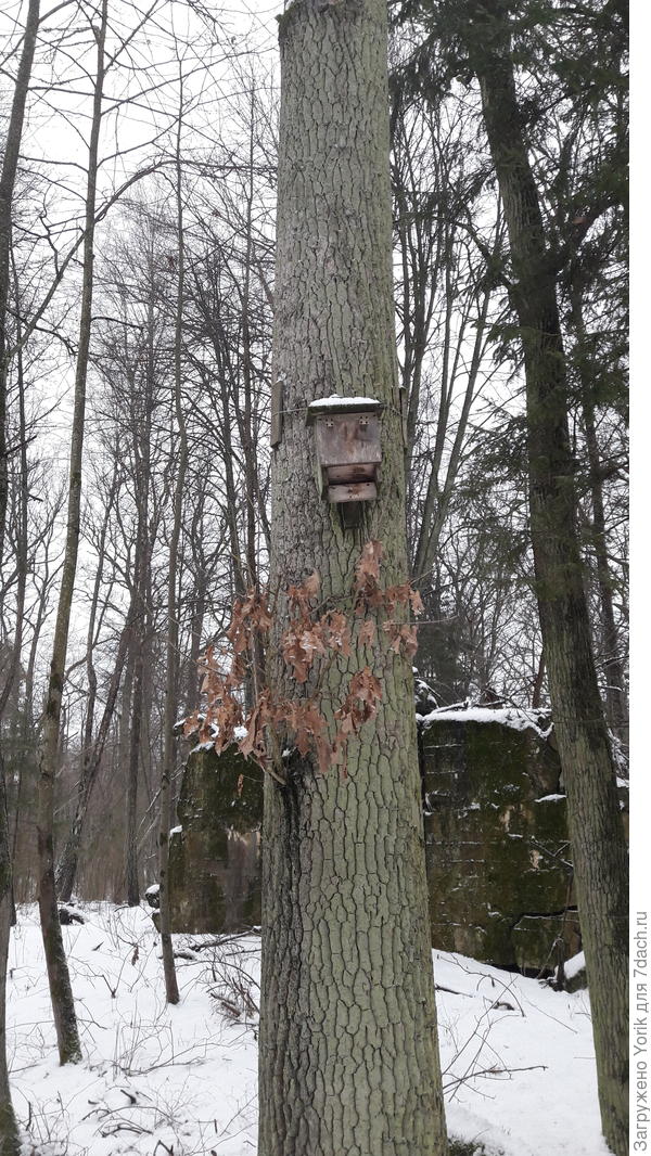 ..
