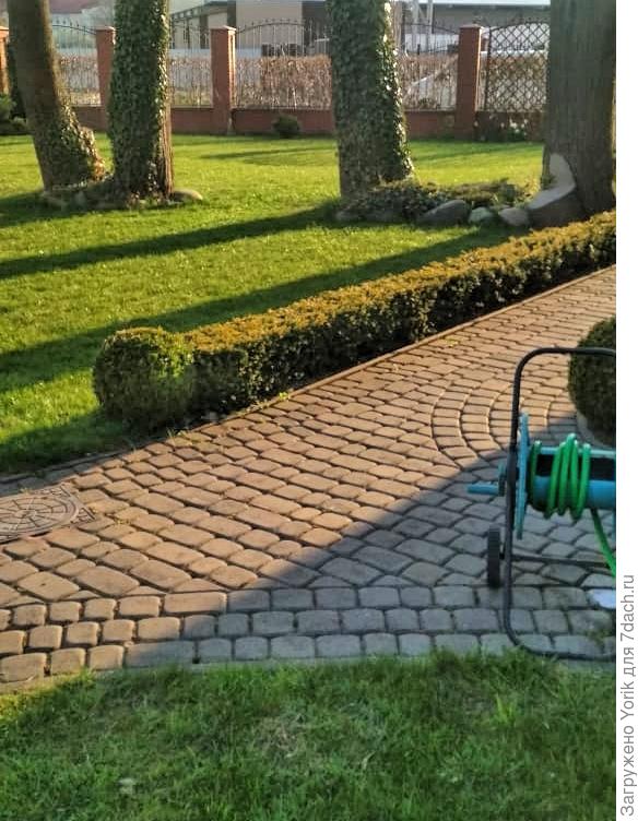 Погода такая, что уже поливаю газон. А ведь еще даже не май.