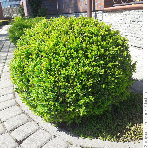 Вон, чего ему будет.  И у Вас скоро такие будут