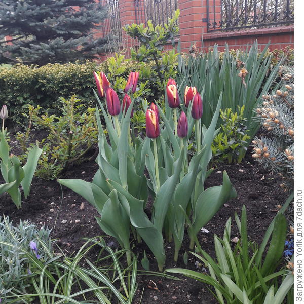 Такие вот первогодки