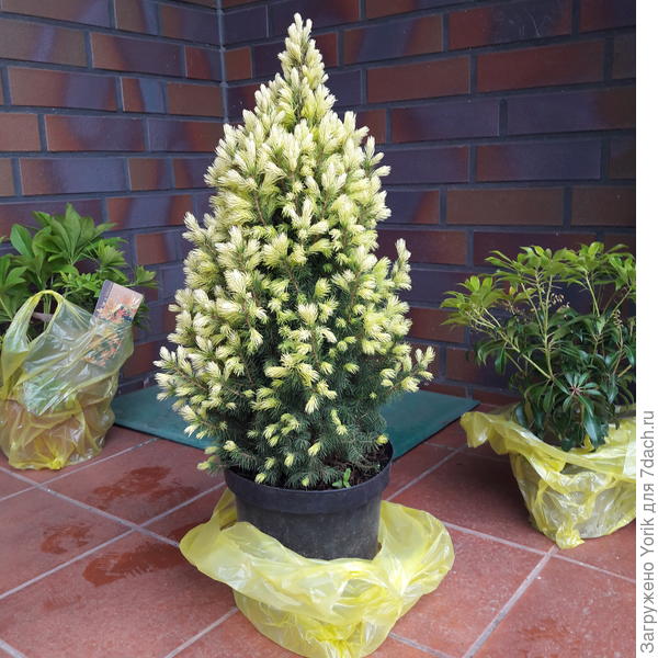 Вот пока что на пороге. Но скоро найдем место