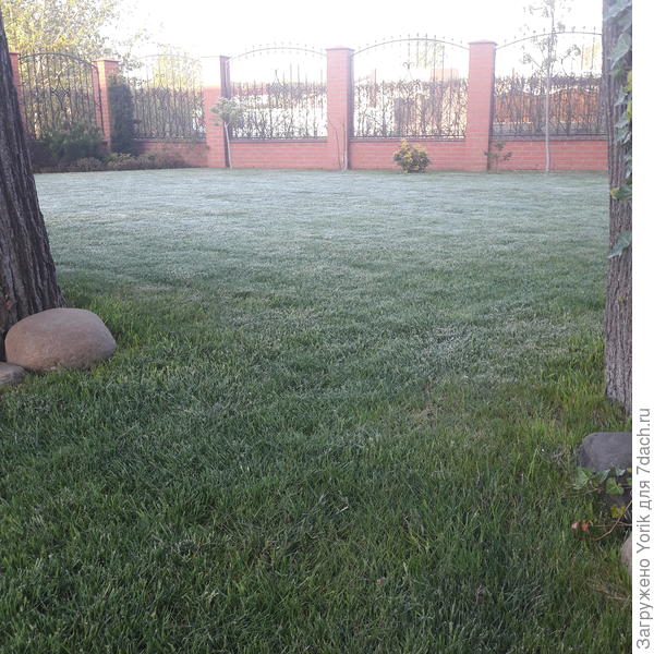 Вот сижу, медитирую, были бы ёжики составили компанию.