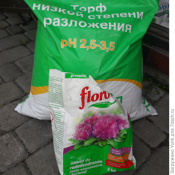 Я думаю, новоселам понравится