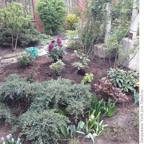 Примерка посадки