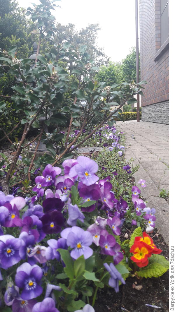 Виллами все непочем