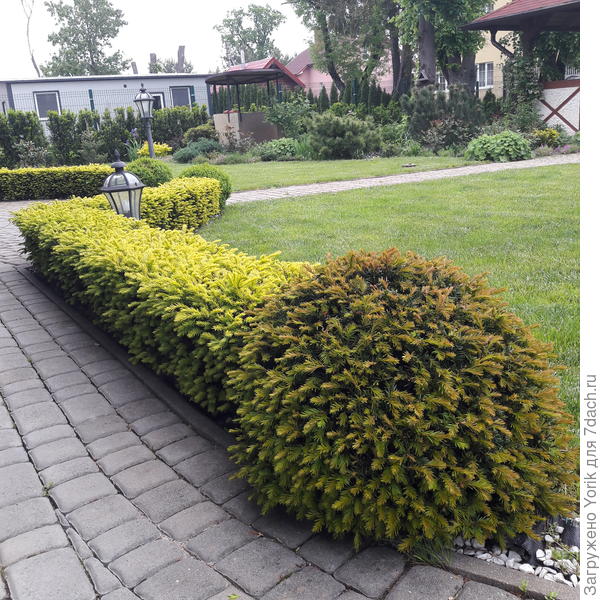 Это правда немного другой