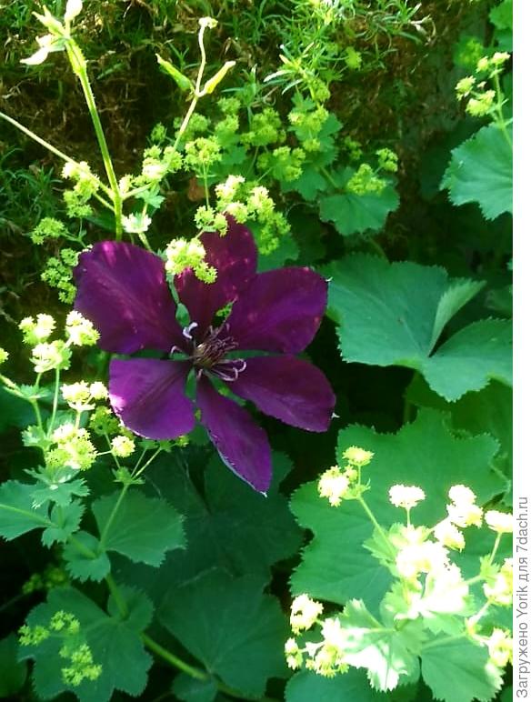 Новый житель, пока еще &quot;застенчивый&quot;