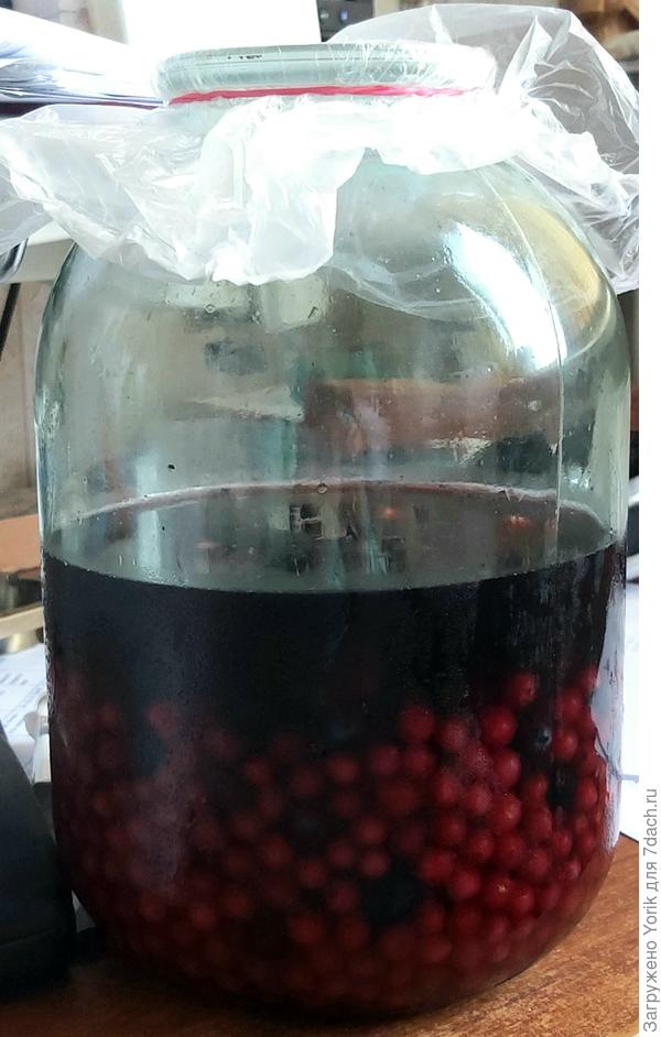 первый день, полет нормальный.