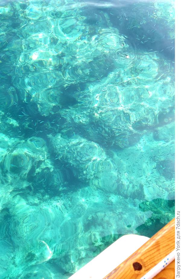Опять чистота морской воды.